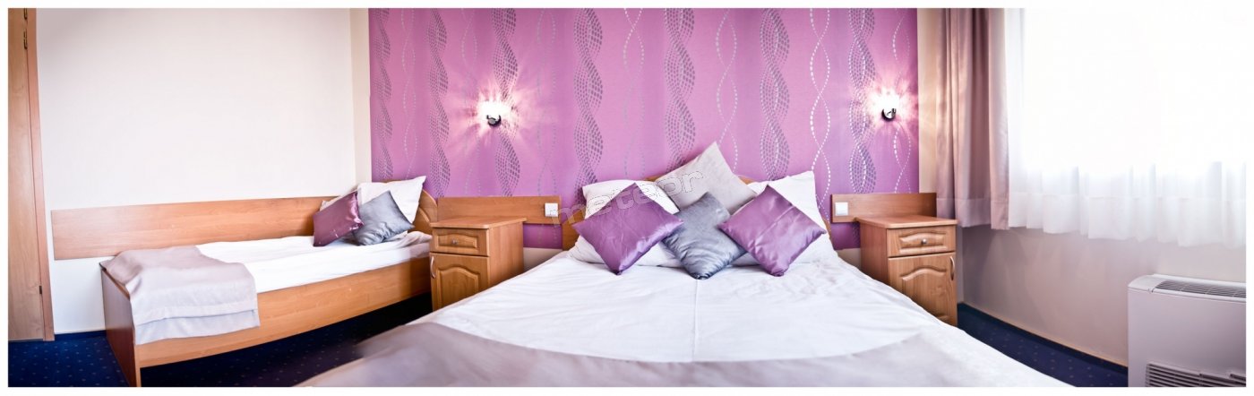 Hotel U Grubego