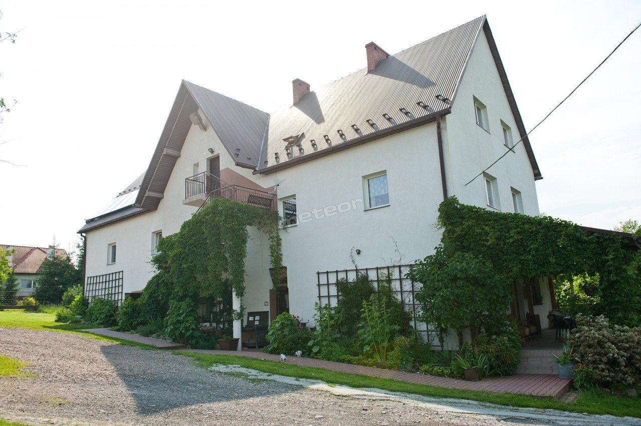 Dom od str. południowej. Taras otulony bluszczem.