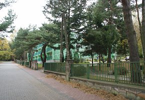 Jastrzębia Góra