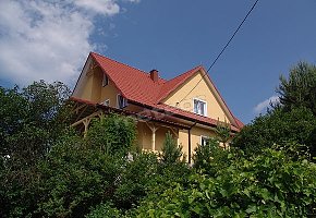 Wołkowyja